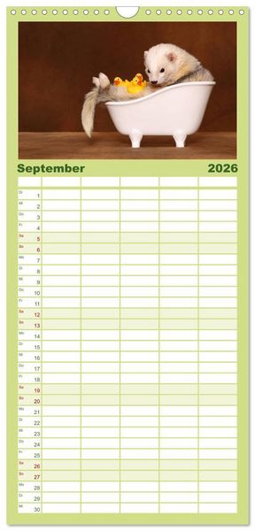 Produktbild: Familienplaner 2026 - Frettchen - Ferrets mit 5 Spalten (Wandkalender, 21 x 45 cm) CALVENDO