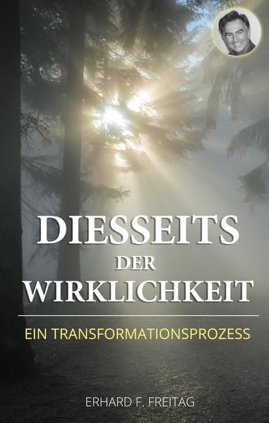 Produktbild: Diesseits der Wirklichkeit