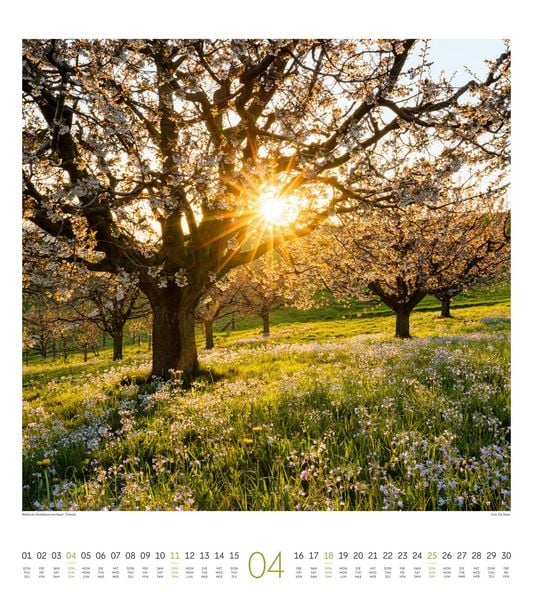 Produktbild: Lichtblicke Kalender 2027