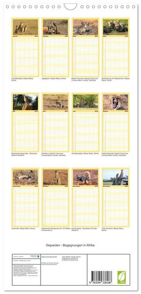 Produktbild: Familienplaner 2027 - Geparden - Begegnungen in Afrika mit 5 Spalten (Wandkalender, 21 x 45 cm) CALVENDO