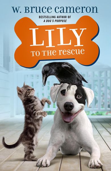 Produktbild: Lily to the Rescue
