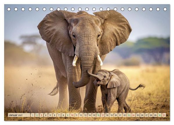 Produktbild: Gro&szlig;e und kleine Elefanten (Tischkalender 2027 DIN A5 quer), CALVENDO Monatskalender