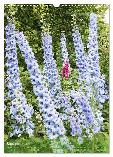 Produktbild: Garden Bliss (Wall Calendar 2026 DIN A3 portrait), CALVENDO 12 Month Wall Calendar