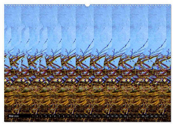 Produktbild: Magische Bilder - 3D Stereogramme (Wandkalender 2026 DIN A2 quer), CALVENDO Monatskalender