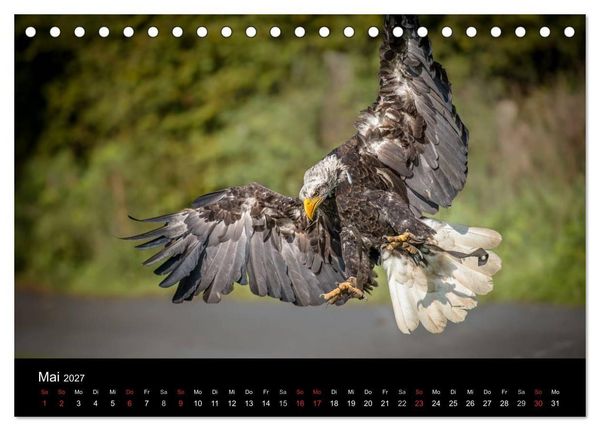 Produktbild: Sch&ouml;nheiten der L&uuml;fte - Greifv&ouml;gel (Tischkalender 2027 DIN A5 quer), CALVENDO Monatskalender