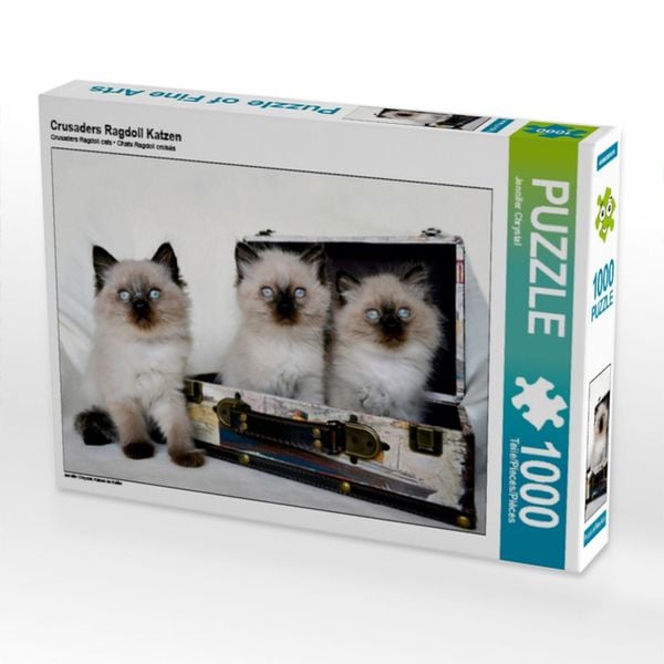 CALVENDO Puzzle Crusaders Ragdoll Katzen | 1000 Teile Lege-Größe 64x48cm Foto-Puzzle für glückliche Stunden