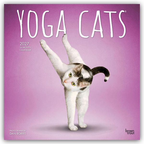 Produktbild: Yoga Cats &ndash; Katzen Yoga 2027 &ndash; 16-Monatskalender