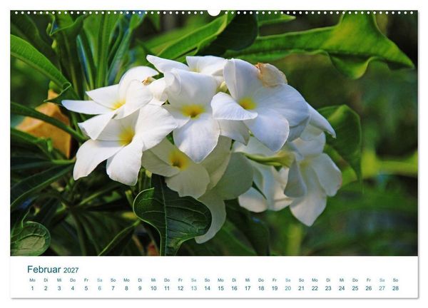Produktbild: S&uuml;dsee-Insel Huahine - Paradies am Ende der Welt (hochwertiger Premium Wandkalender 2027 DIN A2 quer), Kunstdruck in Hochglanz
