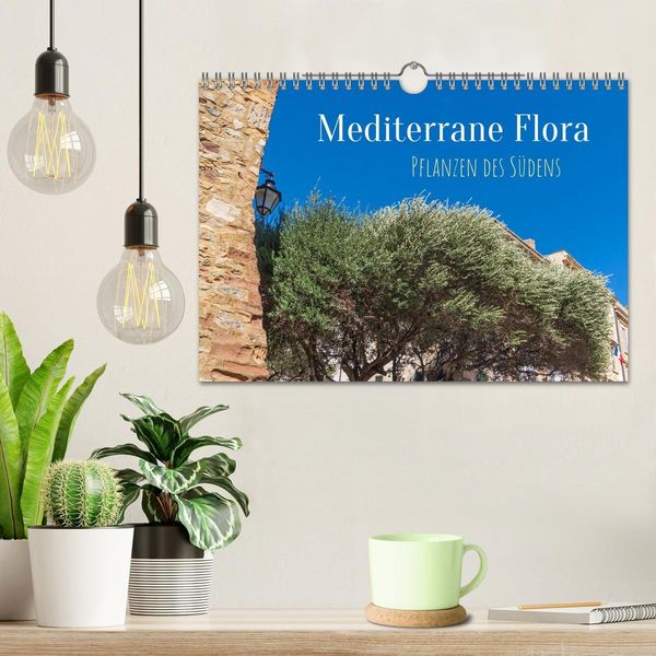 Produktbild: Mediterrane Flora - Pflanzen des S&uuml;dens (Wandkalender 2026 DIN A4 quer), CALVENDO Monatskalender