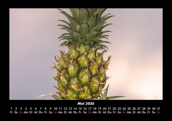 Produktbild: Obstkalender 2026 Fotokalender DIN A3