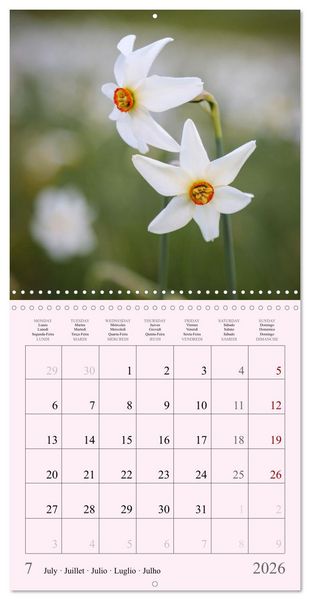 Produktbild: Les saisons en fleurs (Calendrier mural carr&eacute; 2026 30x30 cm) Calendrier double avec une page pour vos prises de notes