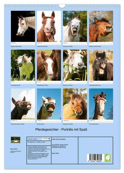 Produktbild: Pferdegesichter - Portr&auml;ts mit Spa&szlig; (Wandkalender 2026 DIN A3 hoch), CALVENDO Monatskalender