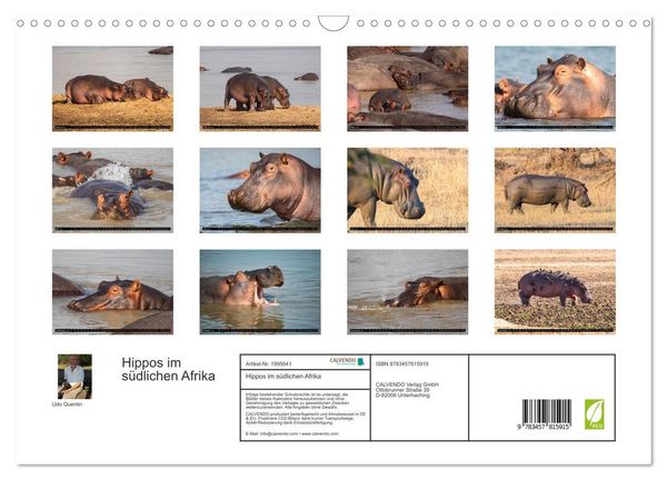Produktbild: Hippos im s&uuml;dlichen Afrika (Wandkalender 2026 DIN A3 quer), CALVENDO Monatskalender