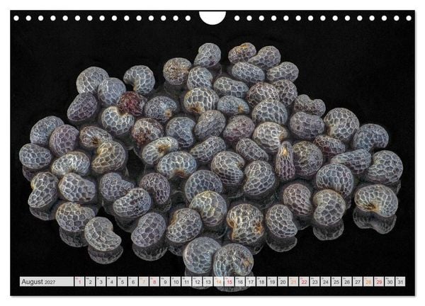 Produktbild: Zauber der kleinen Dinge (Wandkalender 2027 DIN A4 quer), CALVENDO Monatskalender