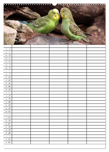 Produktbild: Wellensittiche (Wandkalender 2027 DIN A2 hoch), CALVENDO Monatskalender
