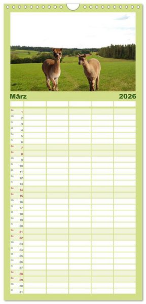 Produktbild: Familienplaner 2026 - Alpakas zum Verlieben mit 5 Spalten (Wandkalender, 21 x 45 cm) CALVENDO