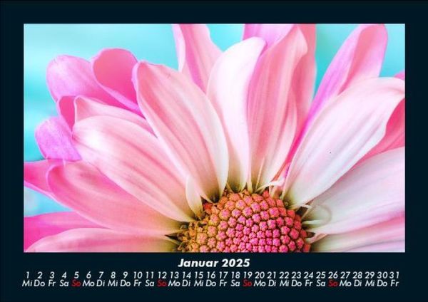 Produktbild: Blumentr&auml;ume 2025 Fotokalender DIN A5