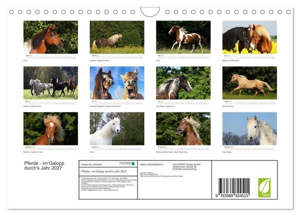 Produktbild: Pferde - im Galopp durch's Jahr 2027 (Wandkalender 2027 DIN A4 quer), CALVENDO Monatskalender