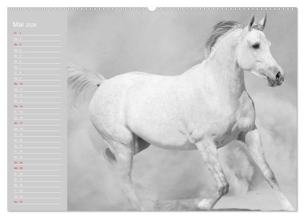 Produktbild: Arabische Pferde (hochwertiger Premium Wandkalender 2026 DIN A2 quer), Kunstdruck in Hochglanz