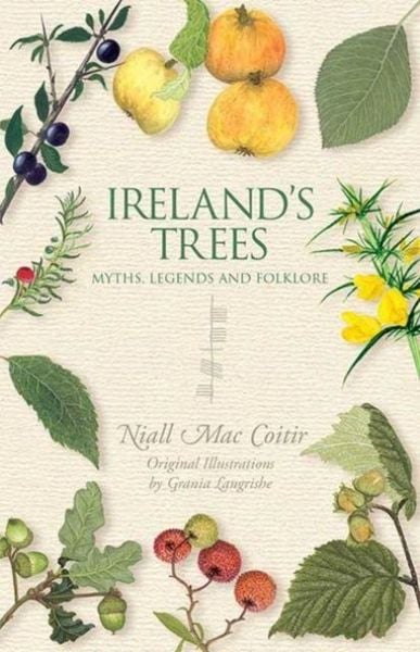 Ireland's Trees, Taschenbuch von Niall Mac Coitir, Gill, 9781848892484