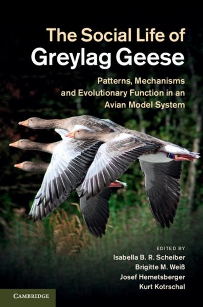 Produktbild: The Social Life of Greylag Geese
