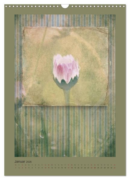 Produktbild: Vintage Style (Wandkalender 2026 DIN A3 hoch), CALVENDO Monatskalender