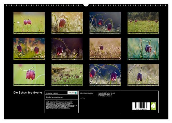 Produktbild: Die Schachbrettblume (hochwertiger Premium Wandkalender 2026 DIN A2 quer), Kunstdruck in Hochglanz