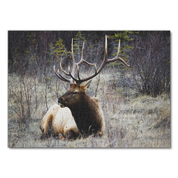 Produktbild: Lais Puzzle Hirsch 500 Teile