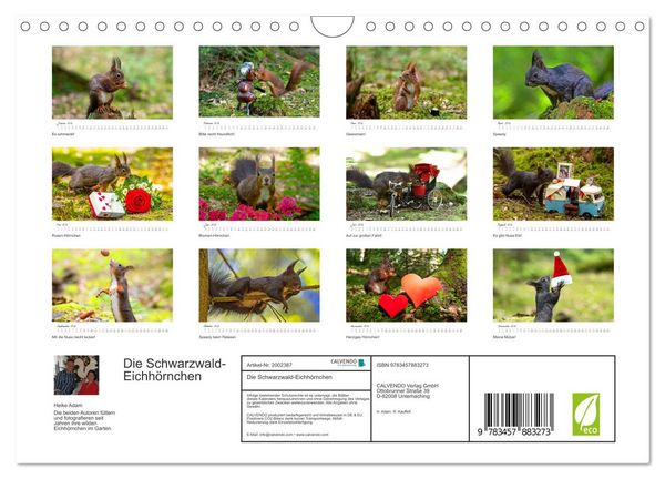 Produktbild: Die Schwarzwald-Eichh&ouml;rnchen (Wandkalender 2026 DIN A4 quer), CALVENDO Monatskalender