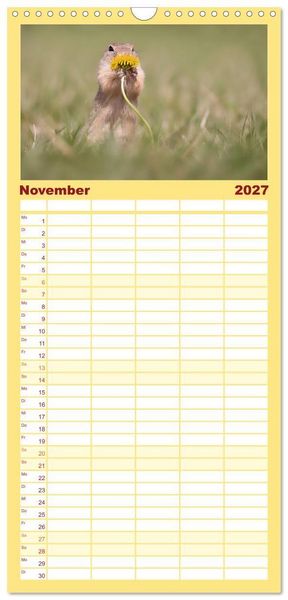 Produktbild: Familienplaner 2027 - Zauberhafte Ziesel mit 5 Spalten (Wandkalender, 21 x 45 cm) CALVENDO