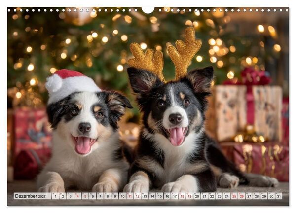 Produktbild: Border Collie - Magische Augenblicke (Wandkalender 2027 DIN A3 quer), CALVENDO Monatskalender