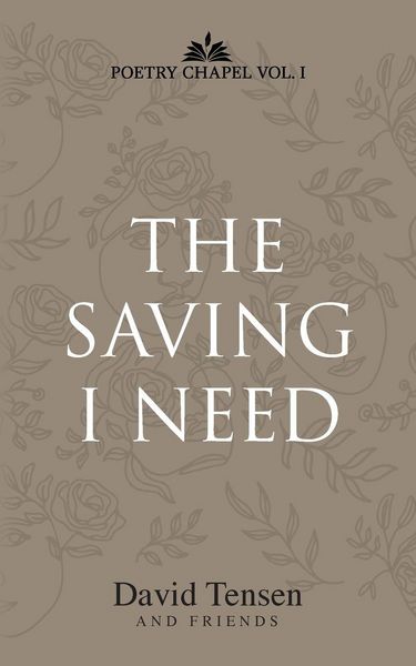Produktbild: The Saving I Need