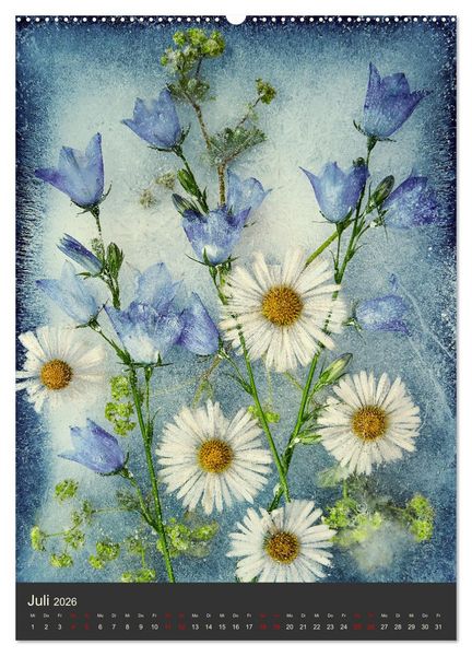 Produktbild: Magische Eisblumen (hochwertiger Premium Wandkalender 2026 DIN A2 hoch), Kunstdruck in Hochglanz