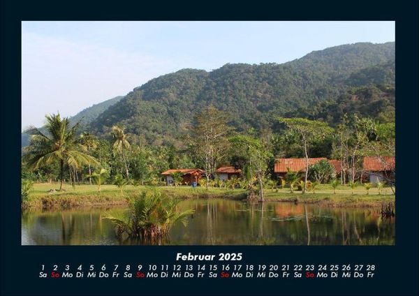 Produktbild: Pflanzen und Bl&uuml;ten 2025 Fotokalender DIN A4