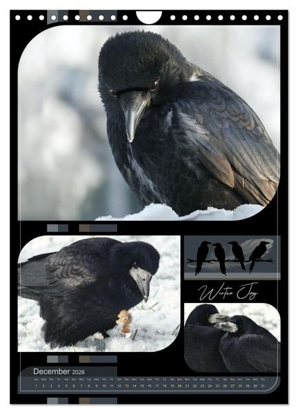 Produktbild: Crows - Through the Seasons (Wall Calendar 2026 DIN A4 portrait), CALVENDO 12 Month Wall Calendar