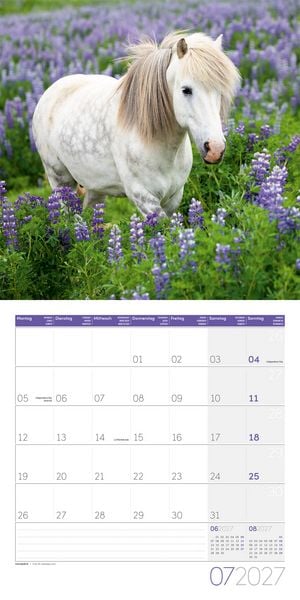 Produktbild: Pferde Kalender 2027 - 30x30 - Art12