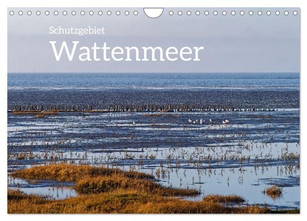 Schutzgebiet Wattenmeer (Wandkalender 2025 DIN A4 quer), CALVENDO Monatskalender