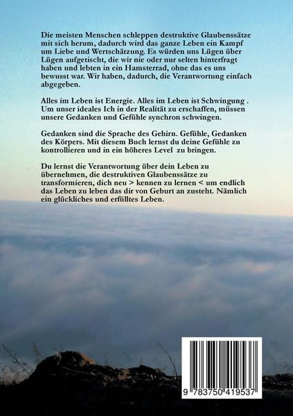 Produktbild: Das Wohlstandsbuch
