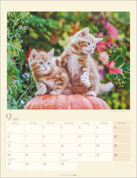Produktbild: Katzen auf dem Lande Kalender 2027