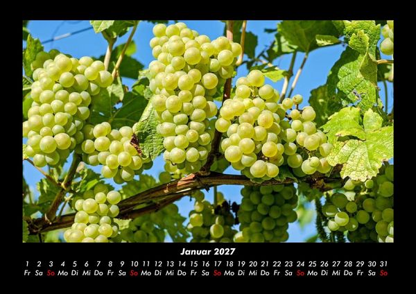 Produktbild: Obstkalender 2027 Fotokalender DIN A3