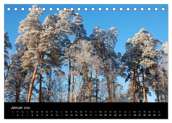 Produktbild: Jahreszeiten / 2026 (Tischkalender 2026 DIN A5 quer), CALVENDO Monatskalender