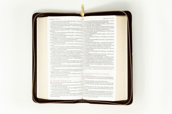 Produktbild: Die Bibel