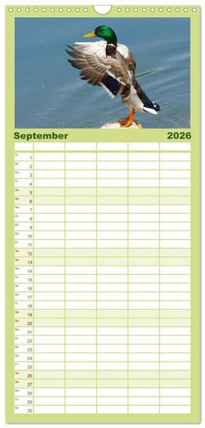 Produktbild: Familienplaner 2026 - Duck Power mit 5 Spalten (Wandkalender, 21 x 45 cm) CALVENDO