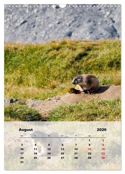 Produktbild: Bergwelten (Wandkalender 2026 DIN A3 hoch), CALVENDO Monatskalender