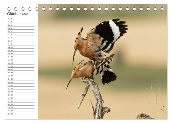 Produktbild: Faszinierendes Bulgarien (Tischkalender 2026 DIN A5 quer), CALVENDO Monatskalender
