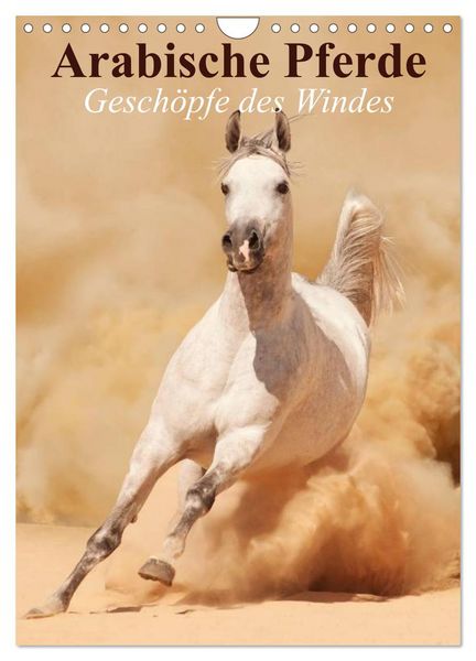 Produktbild: Arabische Pferde &bull; Gesch&ouml;pfe des Windes (Wandkalender 2026 DIN A4 hoch), CALVENDO Monatskalender
