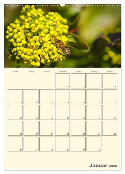Produktbild: Bienen im Naturgarten (Wandkalender 2026 DIN A2 hoch), CALVENDO Monatskalender