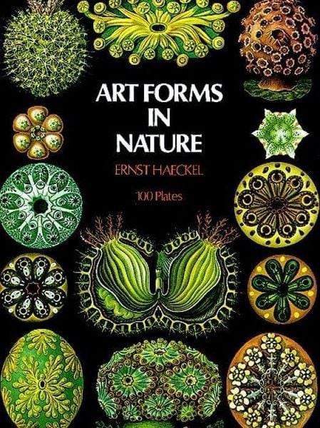 Produktbild: Art Forms in Nature