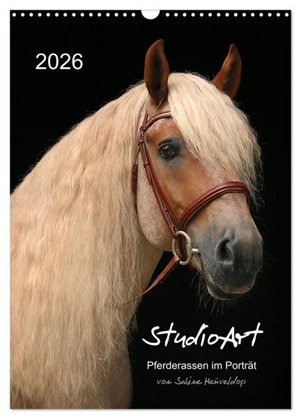 Produktbild: StudioArt Pferderassen im Portr&auml;t (Wandkalender 2026 DIN A3 hoch), CALVENDO Monatskalender
