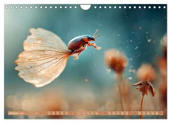 Produktbild: Windreisende (Wandkalender 2026 DIN A4 quer), CALVENDO Monatskalender